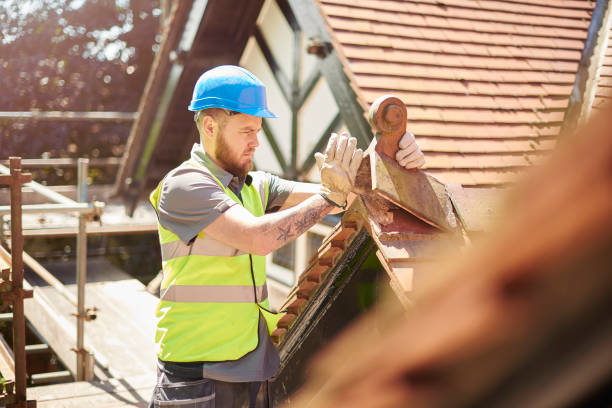 Roof Gutter Cleaning in Juno Ridge, FL